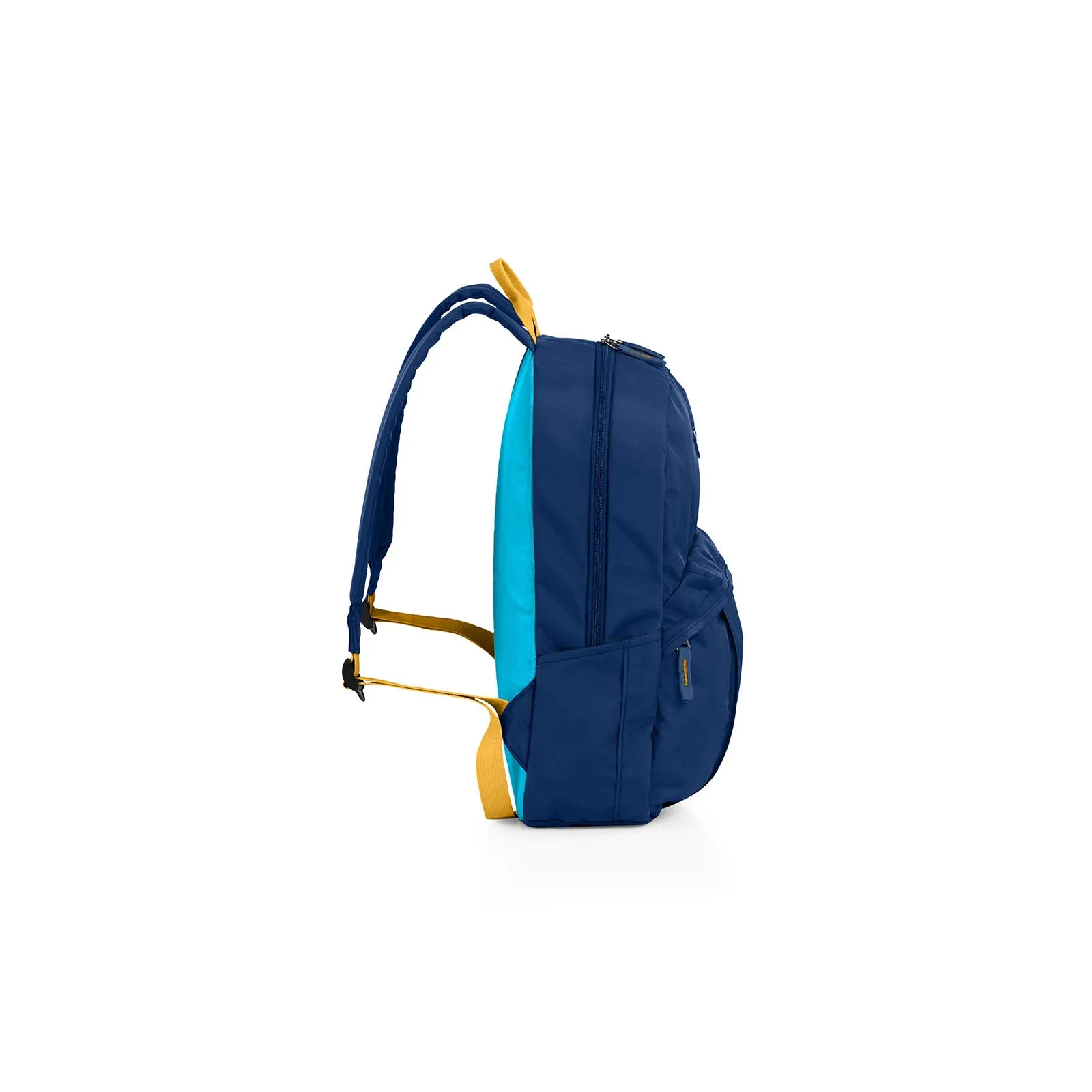 American Tourister Rudy Everyday Backpack Blueberry