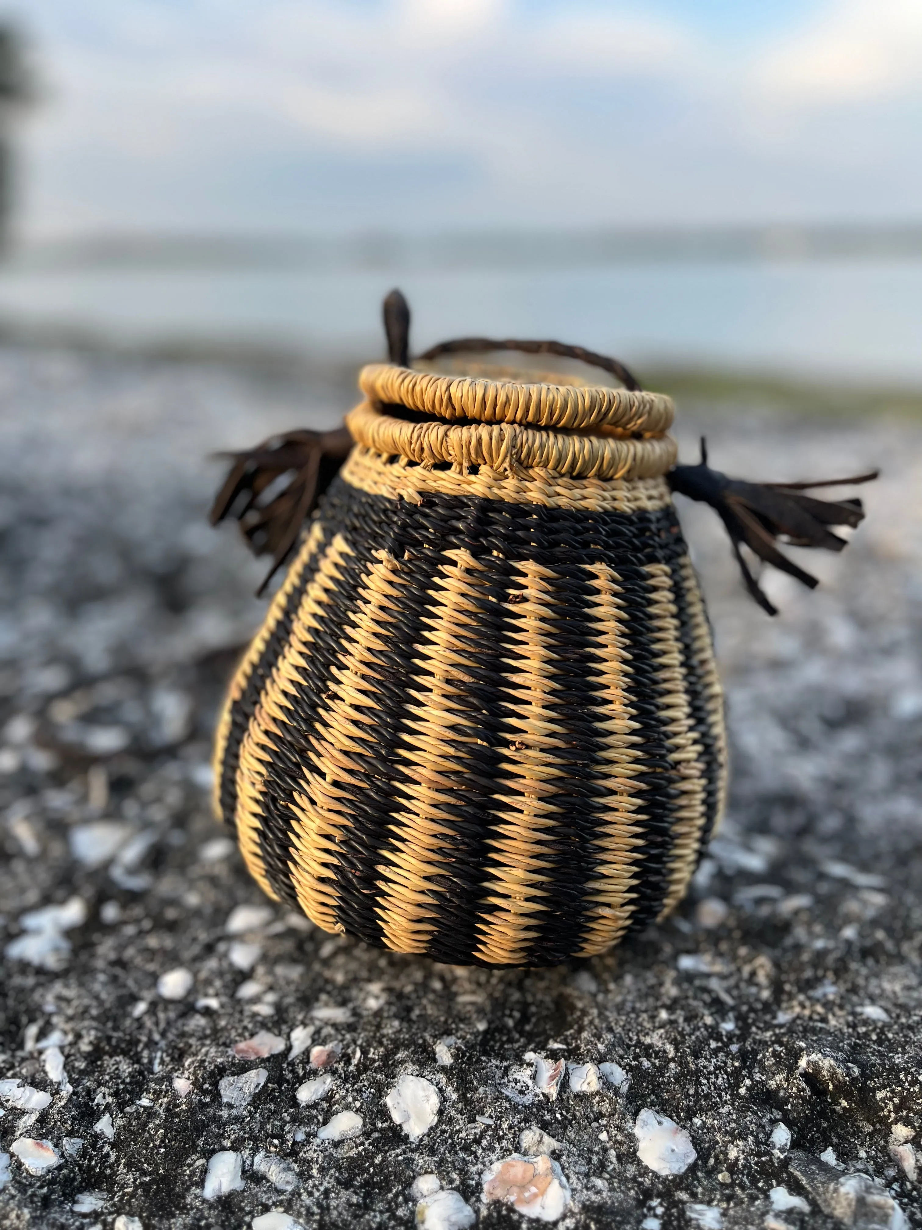 Pineapple Pottie