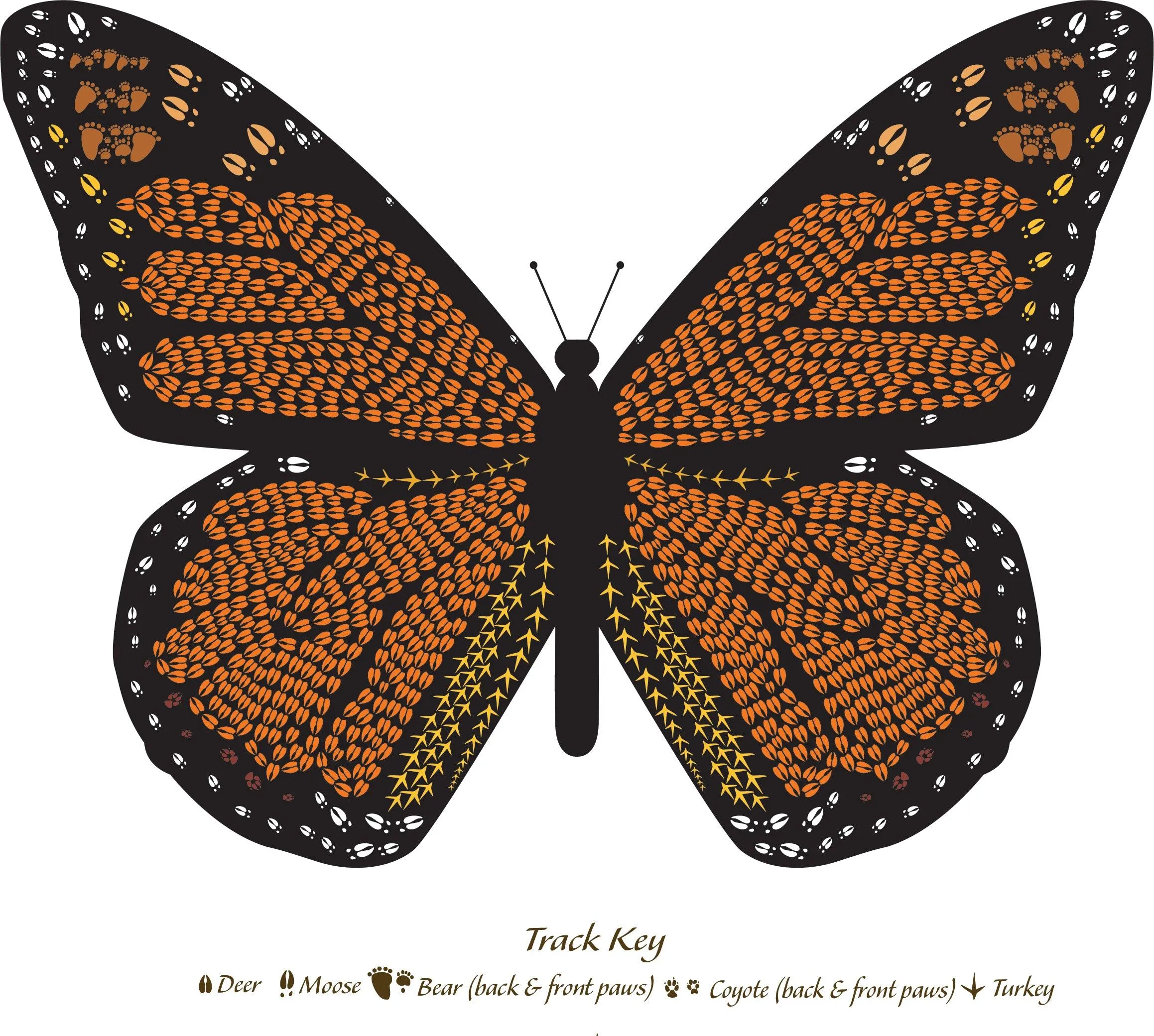 Wings Multi Design NOTE PACKS